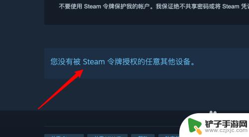 steam怎么删除设备授权 Steam如何取消其他设备的授权