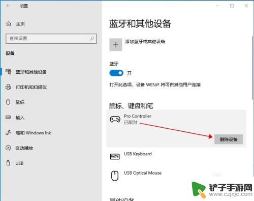 steam连ns 如何使用NS手柄玩Steam游戏