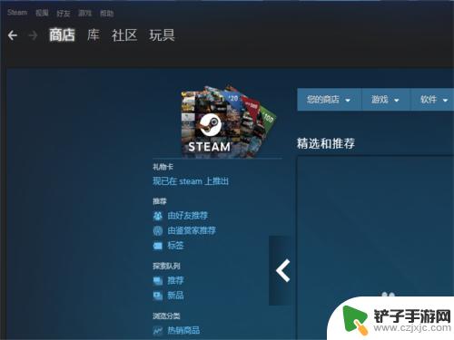 steam论坛进不去 Steam社区错误代码-118常见解决方案