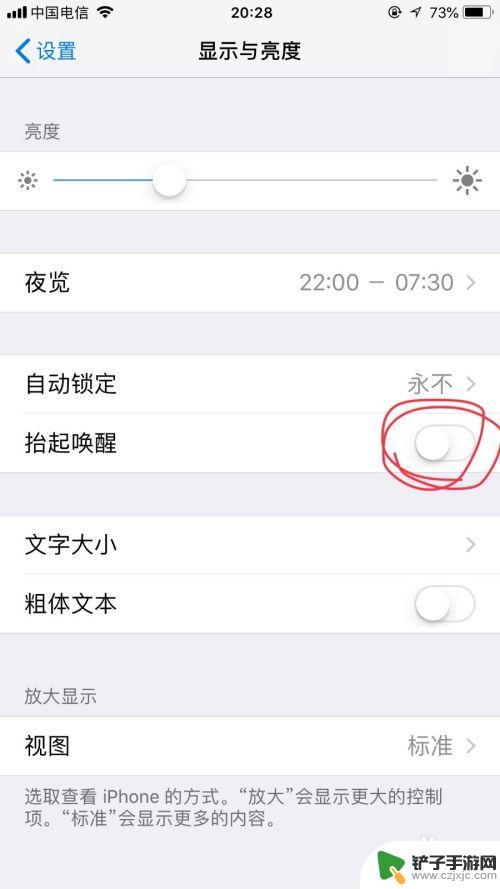 苹果手机抬屏幕就亮怎么设置 苹果手机如何设置抬手自动亮屏功能