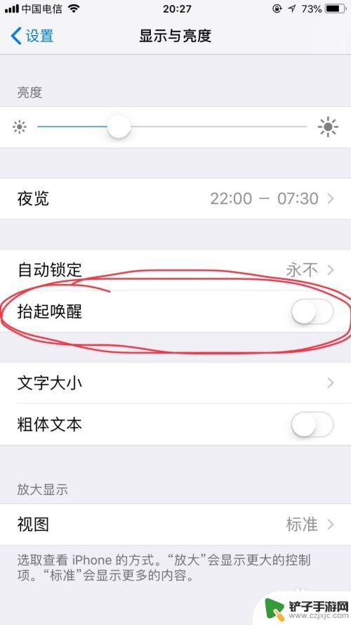 苹果手机抬屏幕就亮怎么设置 苹果手机如何设置抬手自动亮屏功能