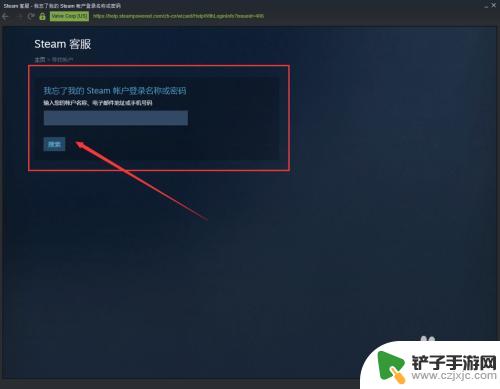 steam恢复码丢了怎么办 如何在Steam上找回忘记的密码