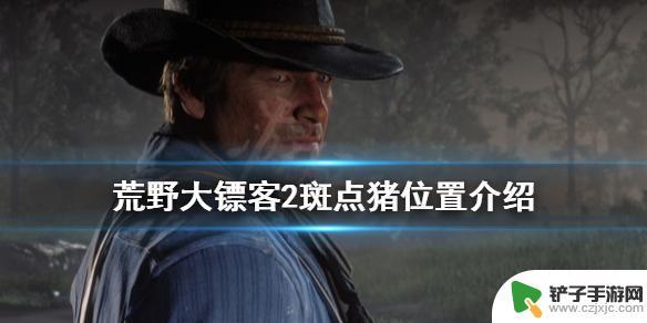荒野大镖客镖客2 猪皮 斑点猪在荒野大镖客2中的位置