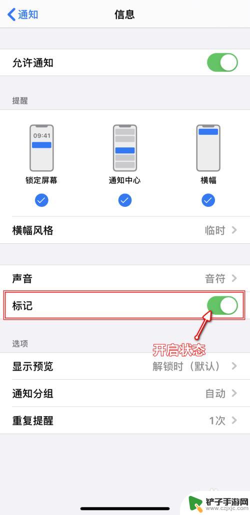 苹果手机不显示消息数量 如何在iPhone上开启/关闭应用消息数量显示