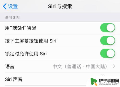 怎么设置手机呼唤苹果 如何在苹果iOS 12中开启嘿Siri唤醒功能