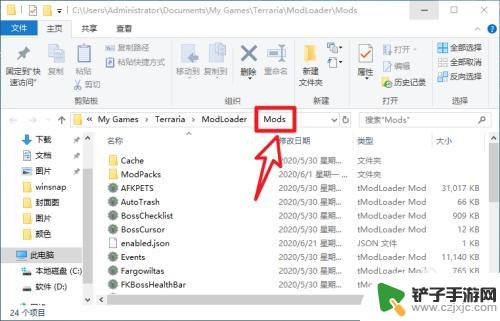 泰拉瑞亚模组怎么加上 泰拉瑞亚steam版mod安装教程