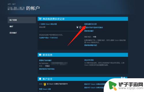 steam怎么查看游戏购买记录 Steam购买记录在哪里查看