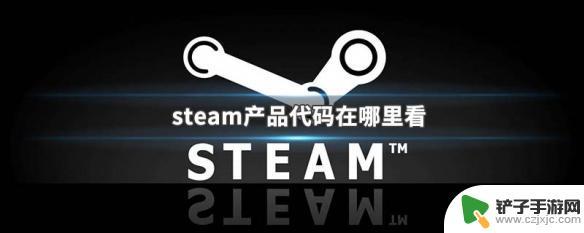 steam平台代码 Steam产品代码怎么看