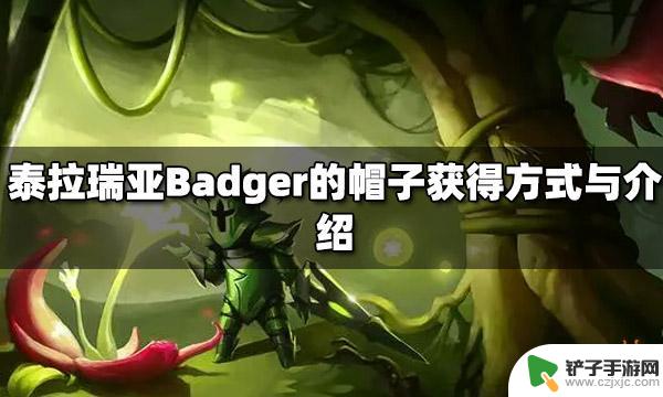 泰拉瑞亚头盔帽子 泰拉瑞亚Badger的帽子介绍