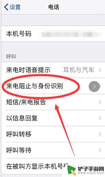 手机拦截苹果电话怎么设置 如何在苹果手机上设置骚扰电话拦截