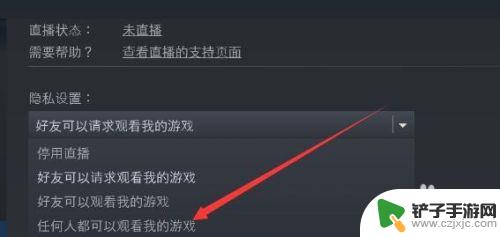 steam直播状态未直播 steam如何开直播教程