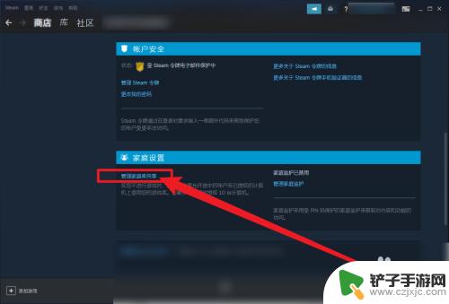 怎么看steam家庭共享的游戏 Steam家庭共享游戏如何查看