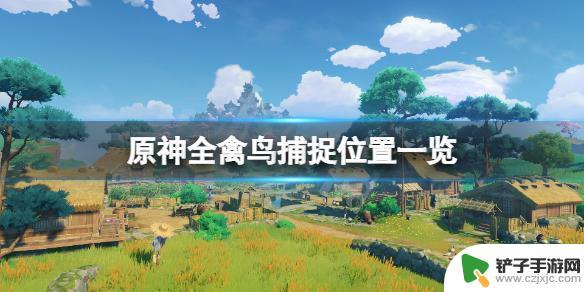 原神如何捕获野禽 怎样在《原神》中捕捉全禽鸟