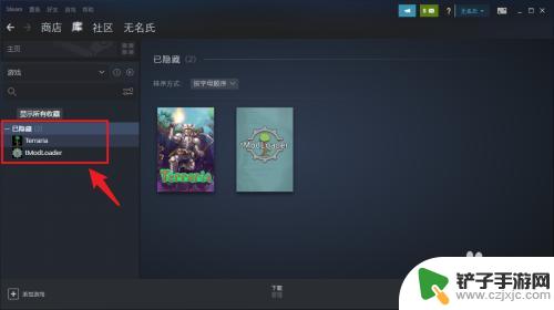 steam库中没有游戏 steam平台购买的游戏不在游戏库中怎么办