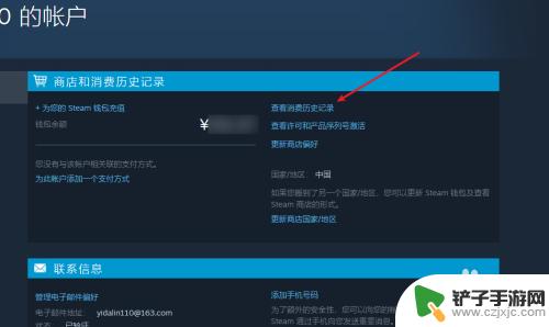 如何查看steam的购买记录 steam消费记录如何查询