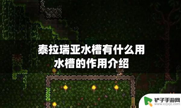 泰拉瑞亚水槽合成 泰拉瑞亚水槽有什么作用