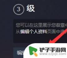 手机steam个人隐私设置 手机Steam隐私设置如何公开