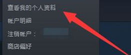 手机steam个人隐私设置 手机Steam隐私设置如何公开