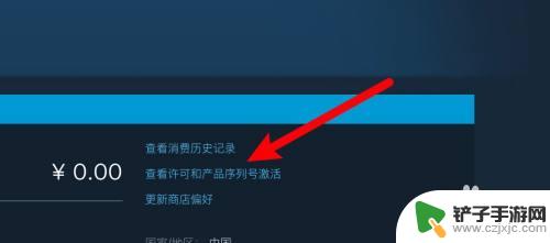 steam编码入口 Steam游戏代码查询方法