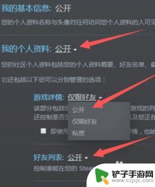 手机steam个人隐私设置 手机Steam隐私设置如何公开