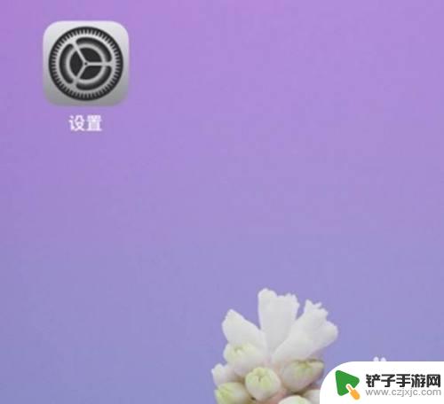 苹果手机怎么设置睡觉声音 iPhone手机闹钟音量设置方法