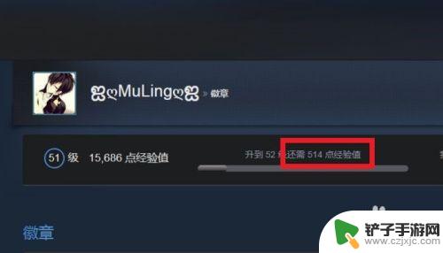 steam合卡能 STEAM合卡教程