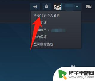 steam愿望单怎么设置隐私 怎样隐藏steam心愿单上的游戏