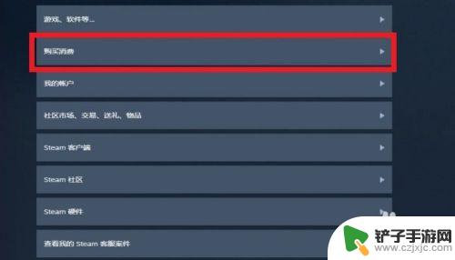 steam怎么查购买时间 怎么查看STEAM市场购买记录