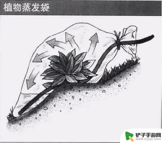 荒岛求生怎么获取淡水 流落荒岛生存手册