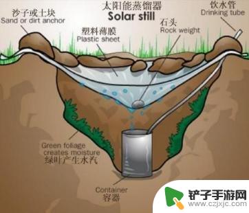 荒岛求生怎么获取淡水 流落荒岛生存手册