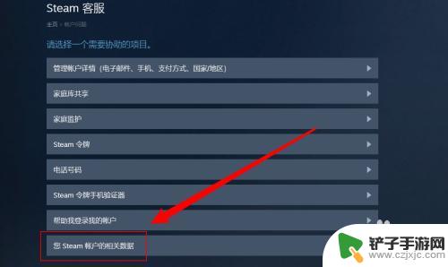 怎么看我的steam登录记录 Steam如何查看最近登入记录