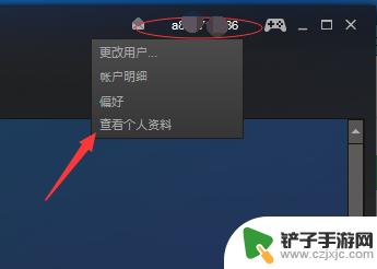 steam艺术栏 Steam怎么设置虚拟艺术展览