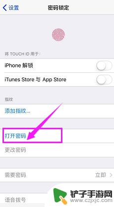 苹果手机锁屏在哪里设置密码 苹果手机如何设置复杂锁屏密码