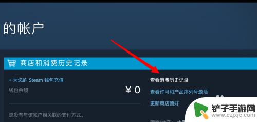 怎么找steam消费记录 Steam消费记录在哪里查看