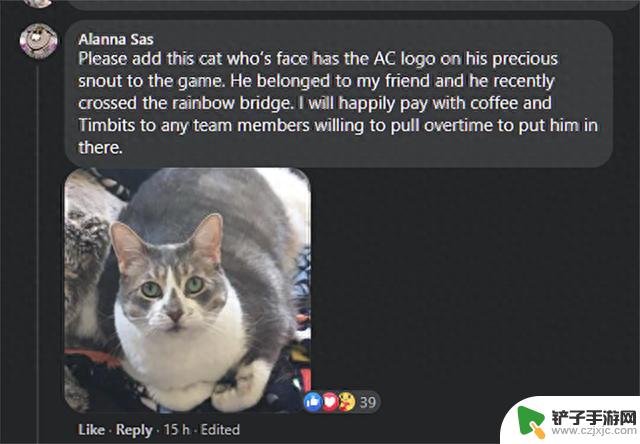 育碧回应玩家请求《刺客信条：幻景》加入“刺客猫”