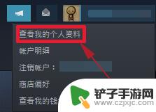 steam怎么换名片背景 Steam个人资料页背景更换教程