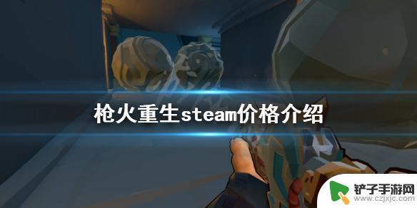 steam上枪火重生多少钱 《枪火重生》steam价格多少钱