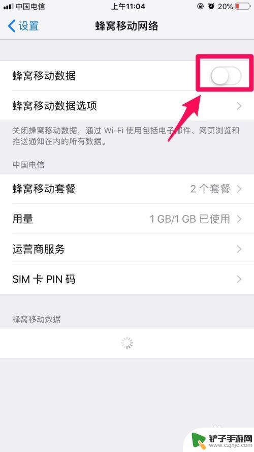 苹果新手机怎么换网络设置 iPhone如何设置移动网络