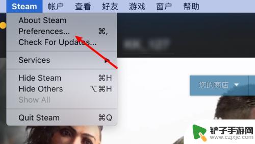 steam画质差 steam玩游戏时画面显示模糊怎么办