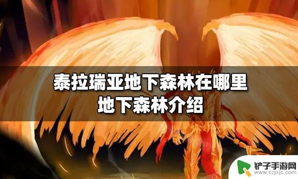 泰拉瑞亚没有森林怎么办 泰拉瑞亚地下森林怎么去