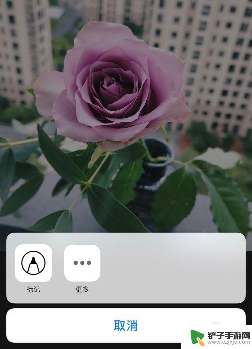苹果手机如何在照片上画圆 如何在苹果手机照片上画圈进行标记