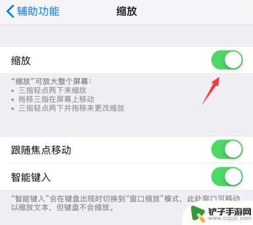 苹果手机缩水怎么设置 苹果iPhone手机如何关闭缩放功能