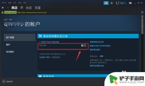 steam显示钱 steam钱包余额在哪里查看