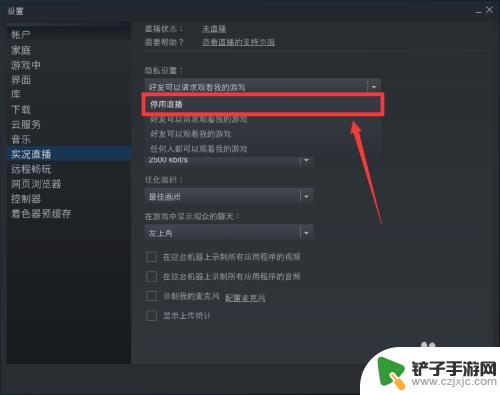 怎么限制别人看自己的steam Steam如何设置不允许他人观看游戏