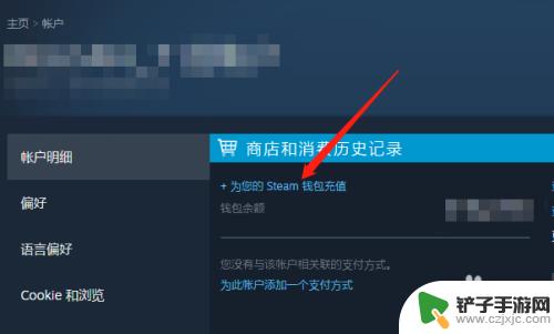 steam最低金额 低于30元的steam钱包充值攻略