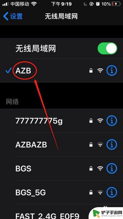 怎么查看手机热点ip地址 苹果手机如何查看WiFi连接的IP地址