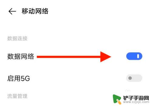 5g手机怎样打开5g网络 5G手机如何设置开启5G网络