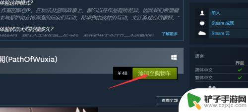 steam买游戏支付怎么黑屏 Steam交易黑屏无法操作怎么办