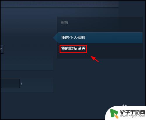 steam怎么设置成公开 Steam库存怎么公开设置