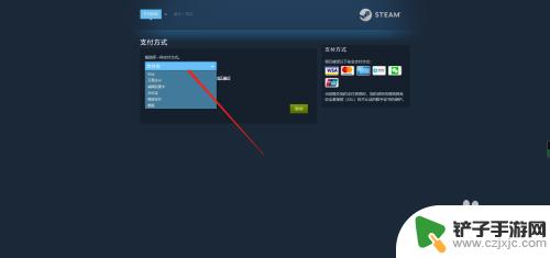 steam购买付款方式 steam买游戏支付方式有哪些